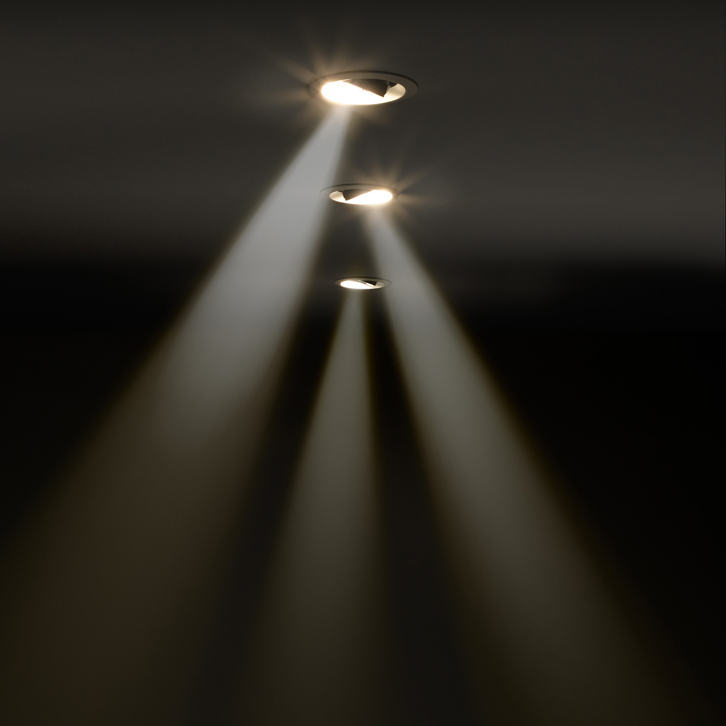 ダウンライト MS-D6