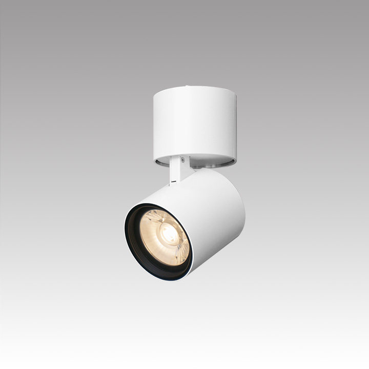 スポットライト MS-L6