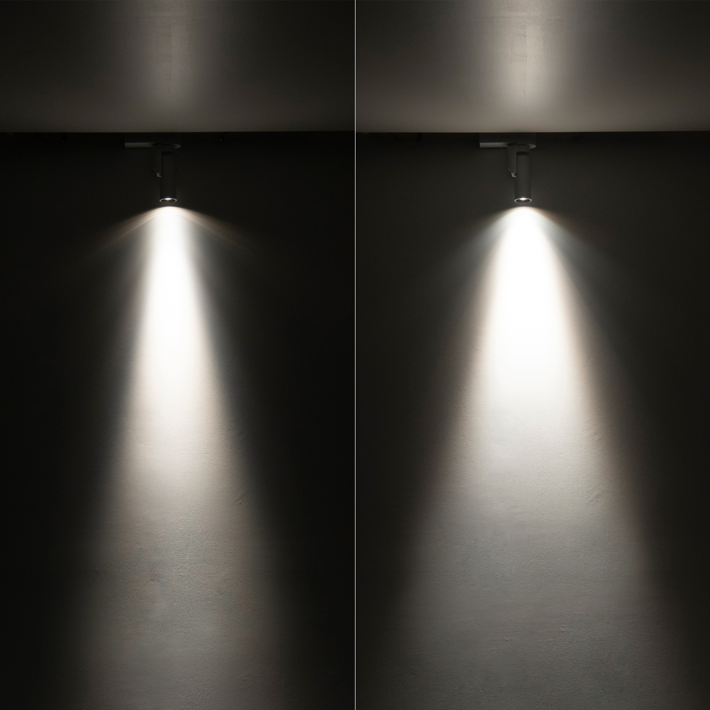 スポットライト MS-S3