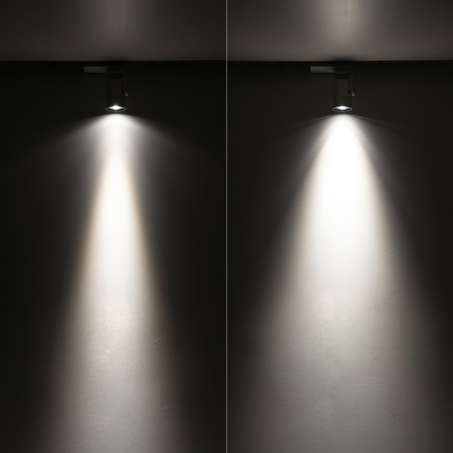 スポットライト MS-S6